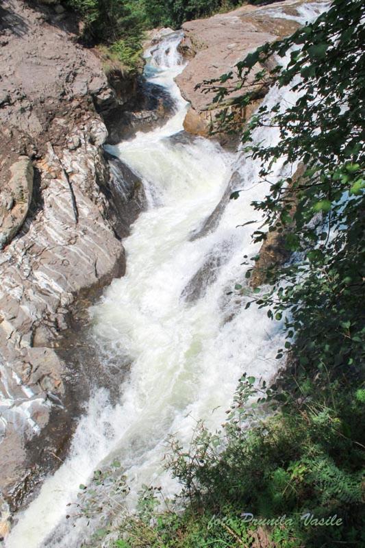 Lepşa Pensiunea Cascada Putnei מראה חיצוני תמונה